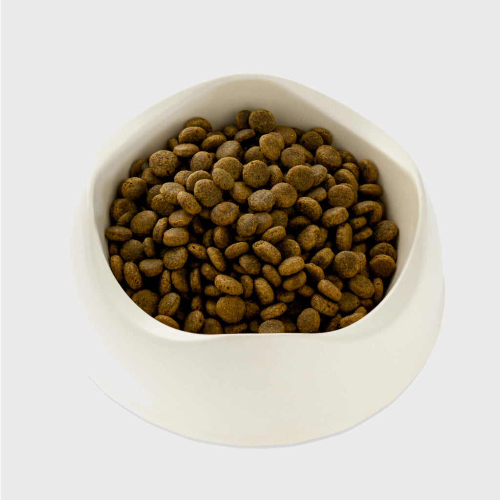 Beco Wild Caught Cod & Haddock with Kale & Chickpeas Dry Adult Dog Food - Slickers ‚óä Doghouse