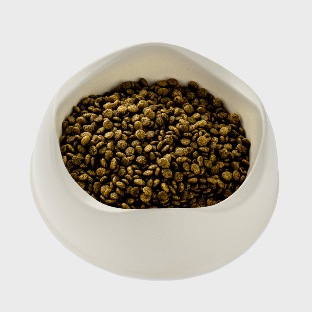 Beco Free Range Turkey with Pumpkin & Spinach Dry Food for Puppies - Slickers ◊ Doghouse