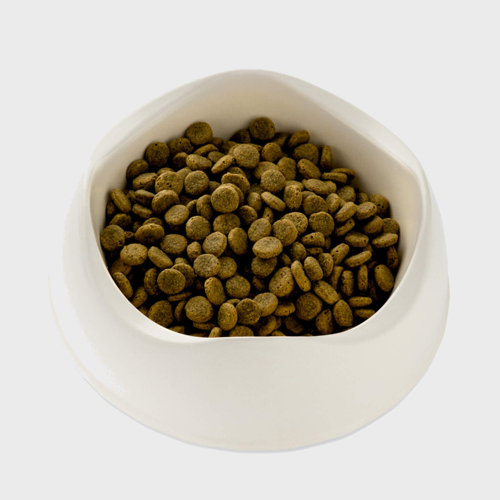 Beco Wild Boar with Pumpkin & Broccoli Dry Adult Dog Food - Slickers ◊ Doghouse