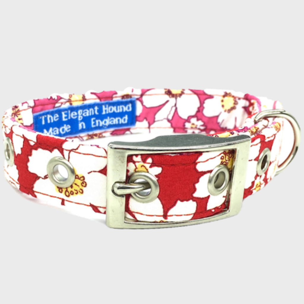 BlossomCo Collars - Slickers ‚óä Doghouse
