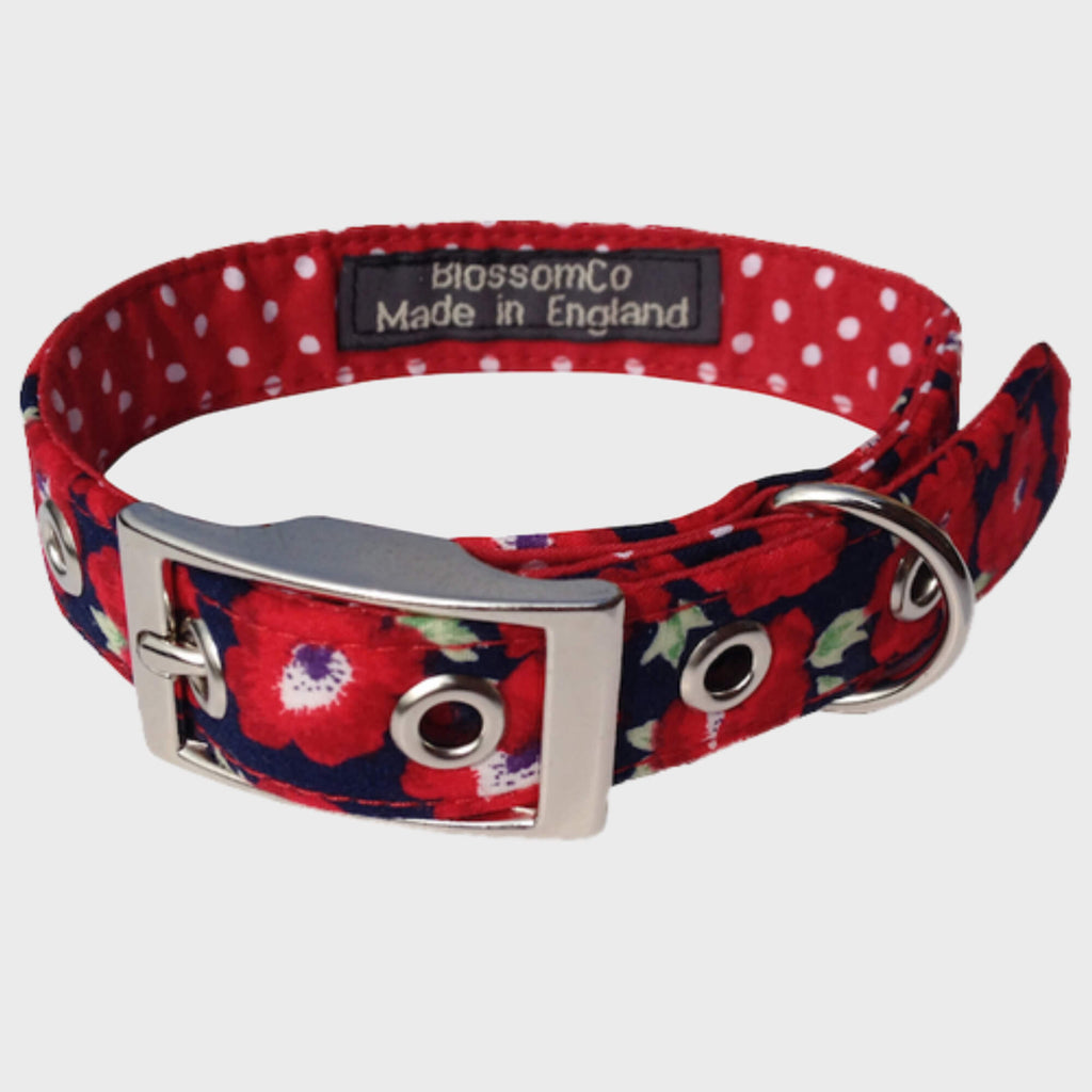 BlossomCo Collars - Slickers ◊ Doghouse