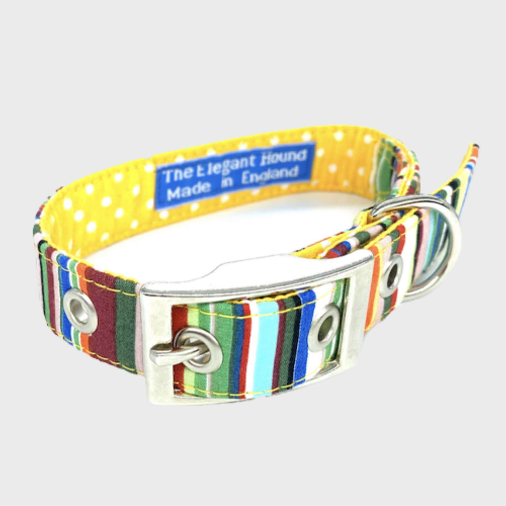BlossomCo Collars - Slickers ◊ Doghouse