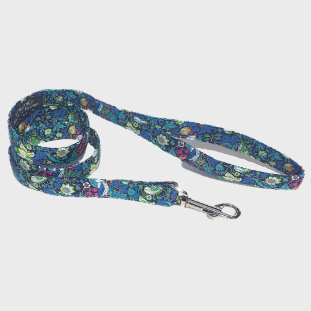 Liberty of London Art Leads - Slickers ‚óä Doghouse