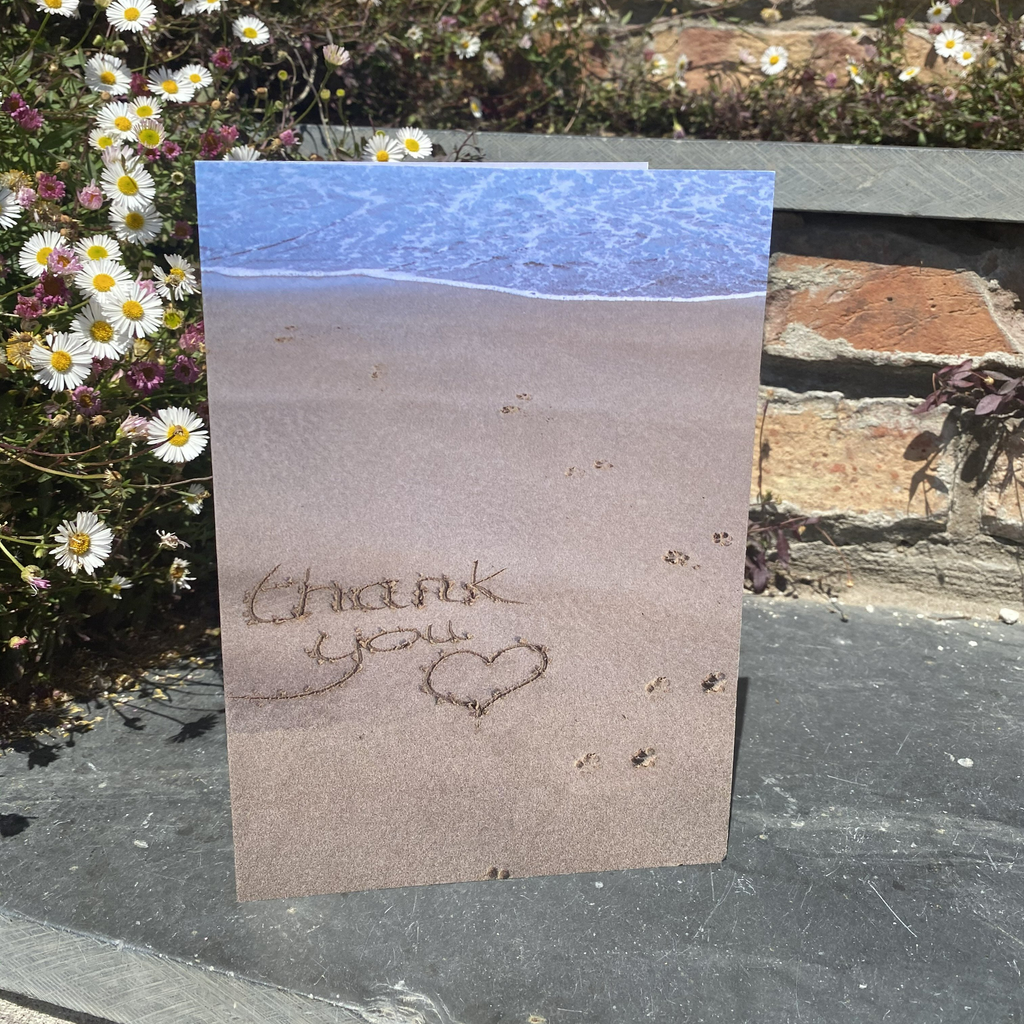 Postcards - Slickers ‚óä Doghouse
