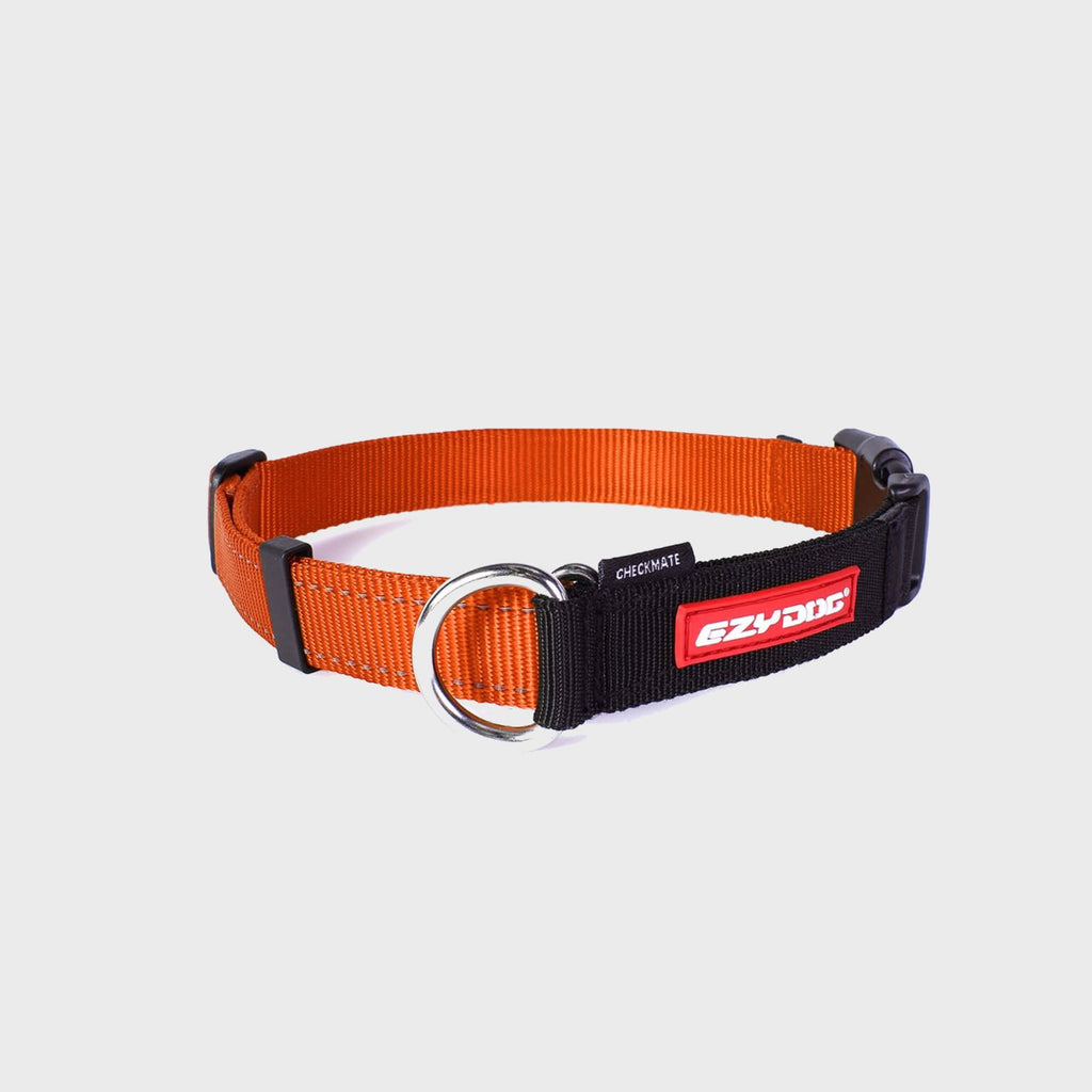 Checkmate Collar - Slickers ◊ Doghouse