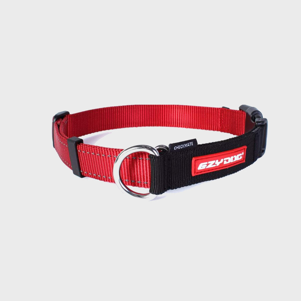 Checkmate Collar - Slickers ◊ Doghouse