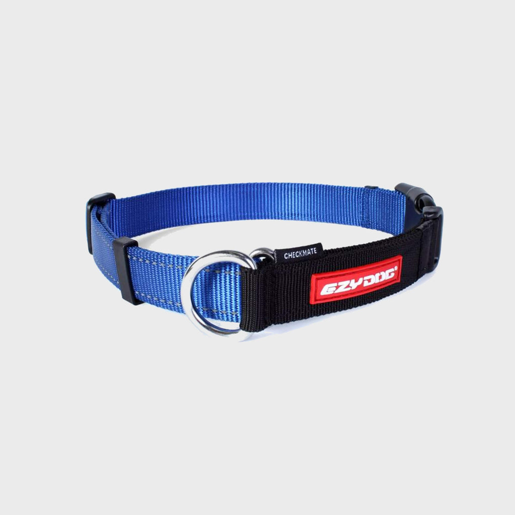 Checkmate Collar - Slickers ◊ Doghouse