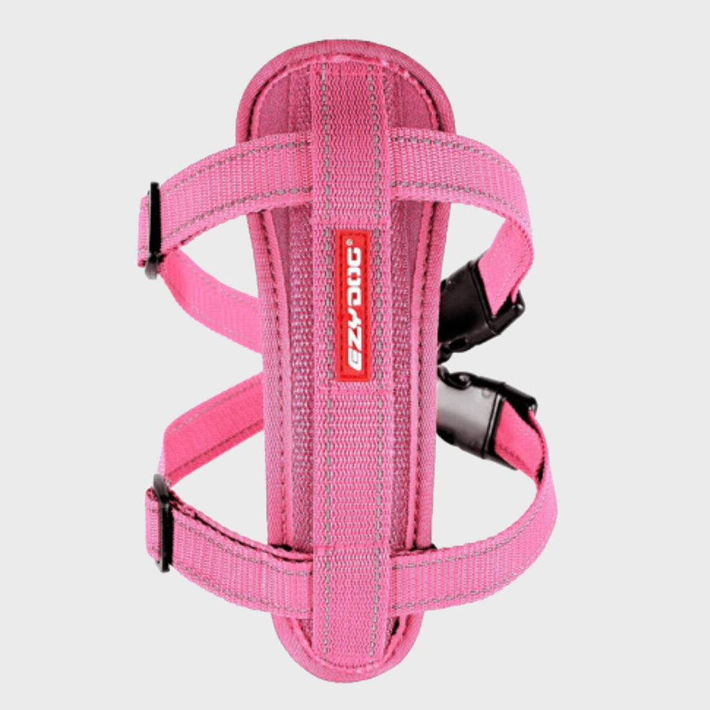 Chest Plate Dog Harness - Slickers ◊ Doghouse