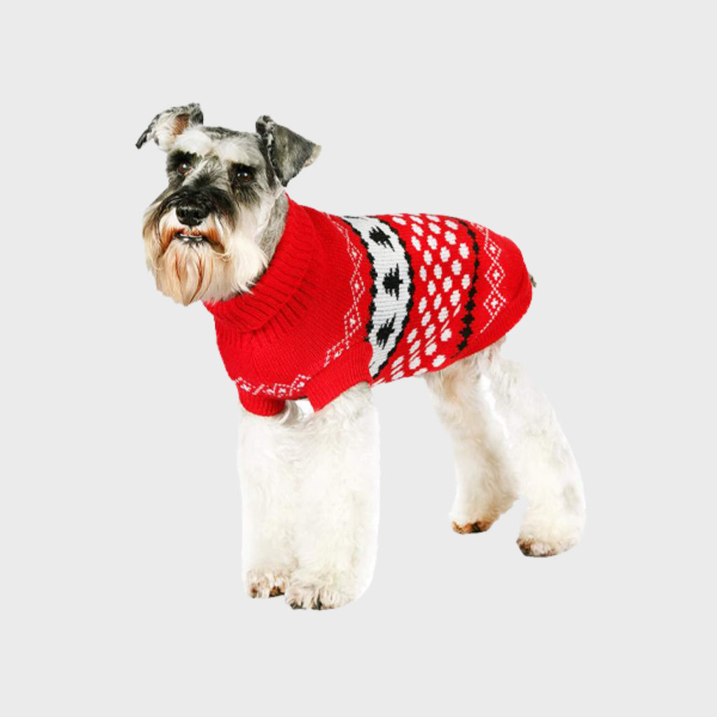 Christmas Jumper, Snowball - Slickers ◊ Doghouse
