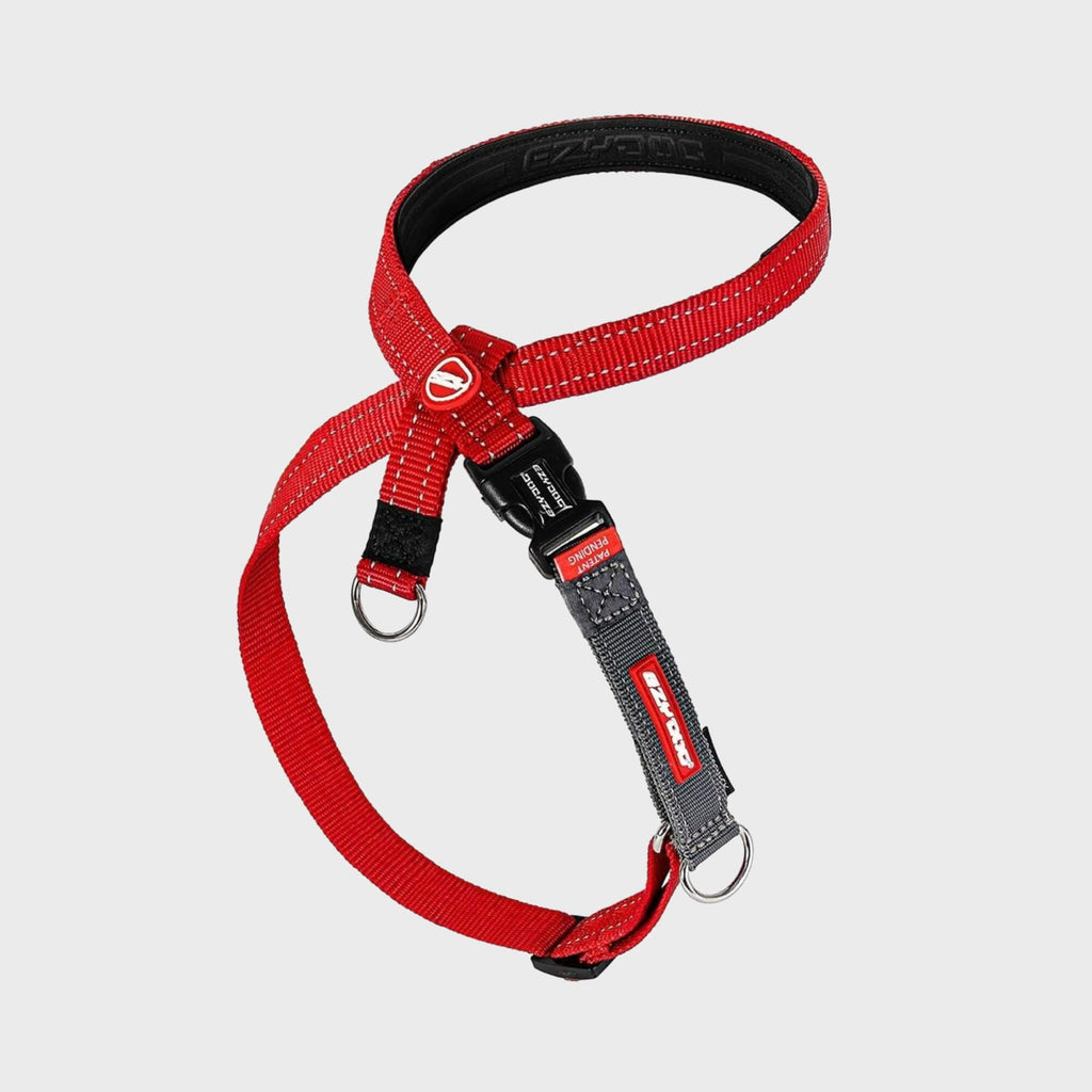Cross Check Training Harness - Slickers ◊ Doghouse