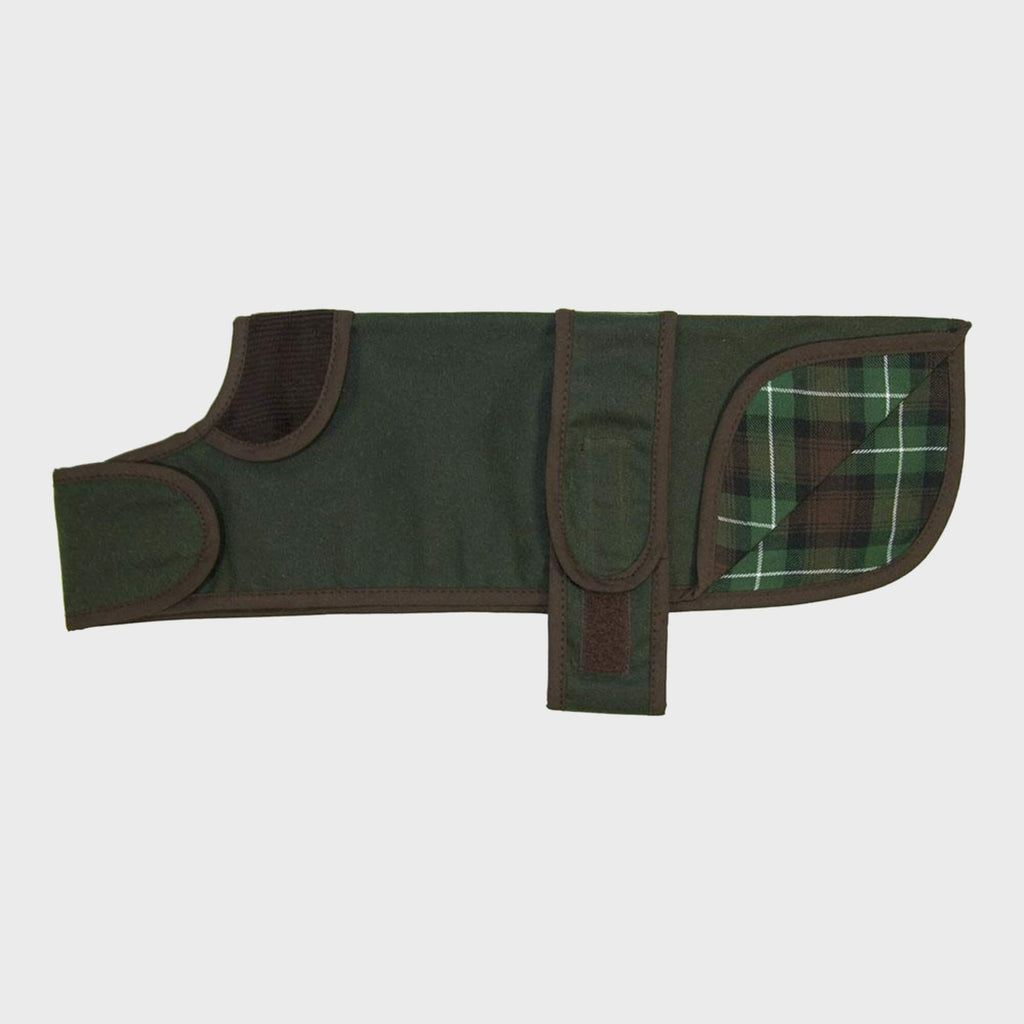 Dachshund Premium Wax Dog Coat - Slickers ◊ Doghouse