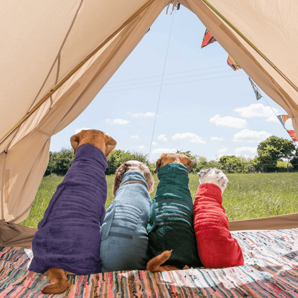 Dog Drying Coat - Classic Collection - Slickers ◊ Doghouse