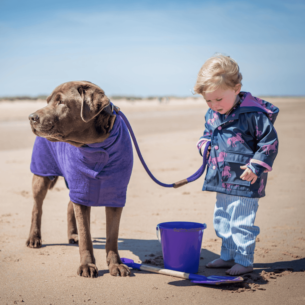 Dog Drying Coat - Classic Collection - Slickers ◊ Doghouse