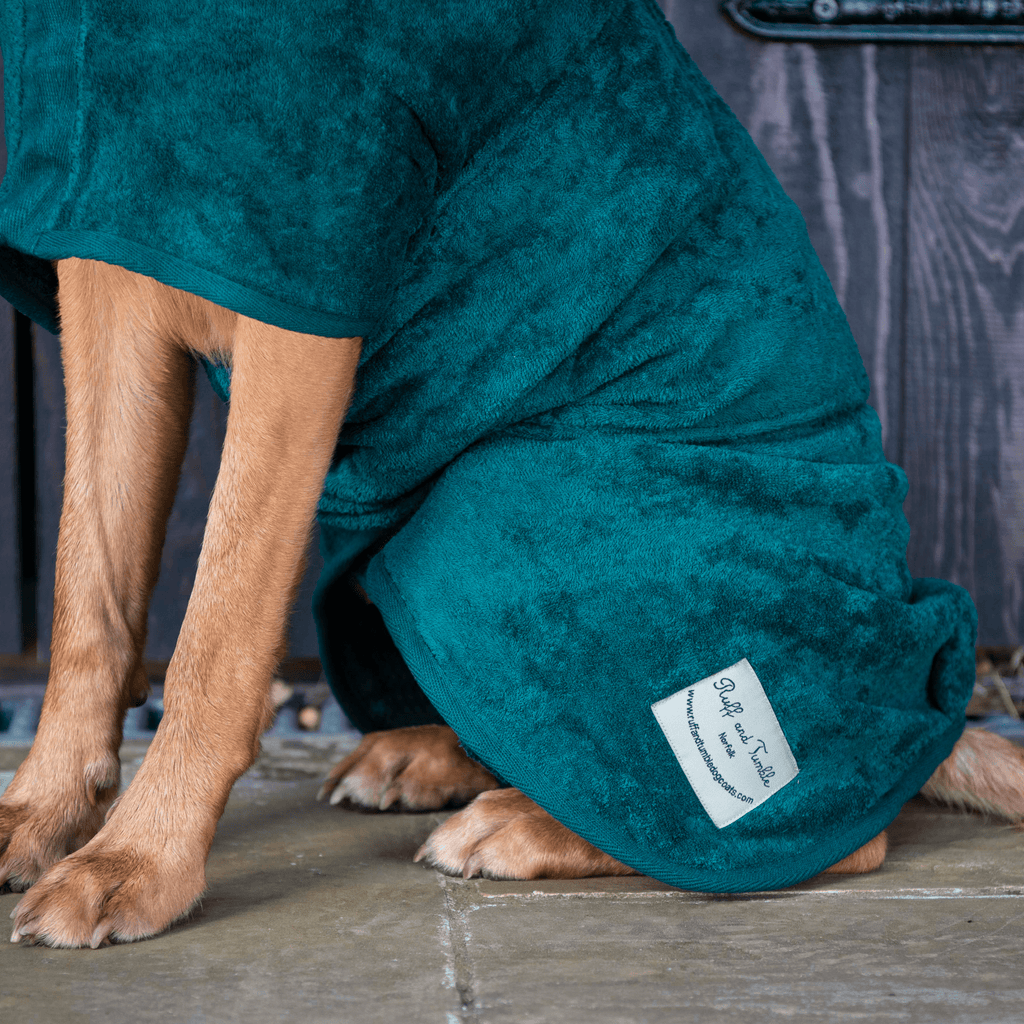 Dog Drying Coat - Classic Collection - Slickers ◊ Doghouse