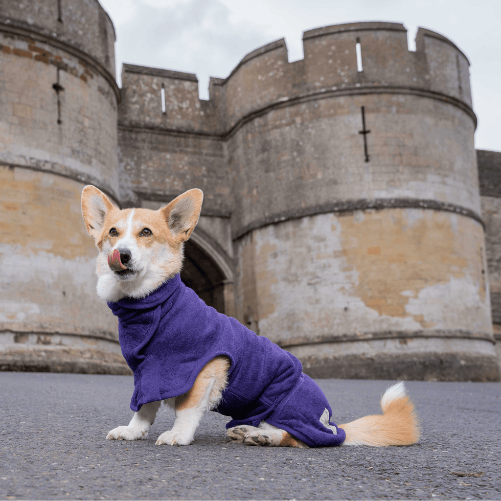 Dog Drying Coat - Classic Collection - Slickers ◊ Doghouse