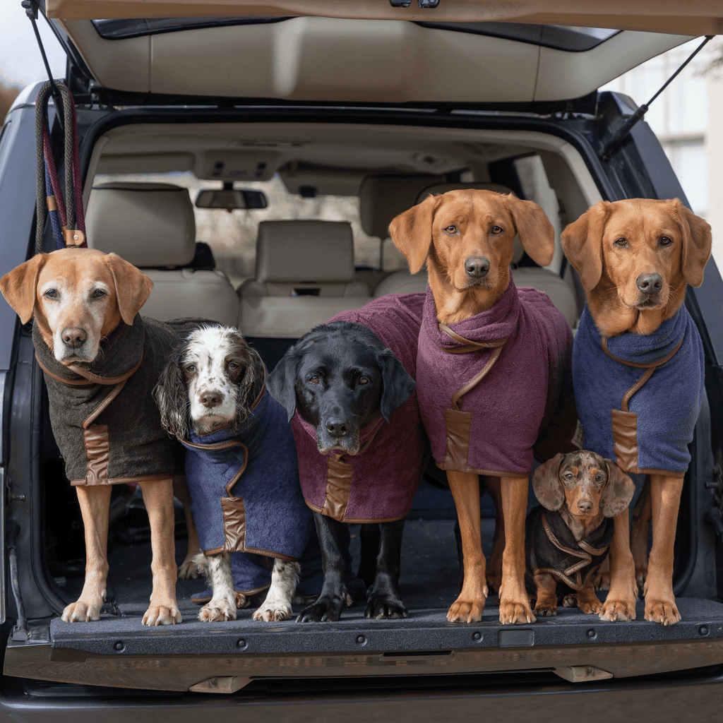 Dog Drying Coat - Country Collection - Slickers ◊ Doghouse