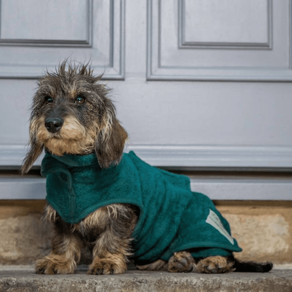 Dog Drying Coat - Dachshund Collection - Slickers ◊ Doghouse