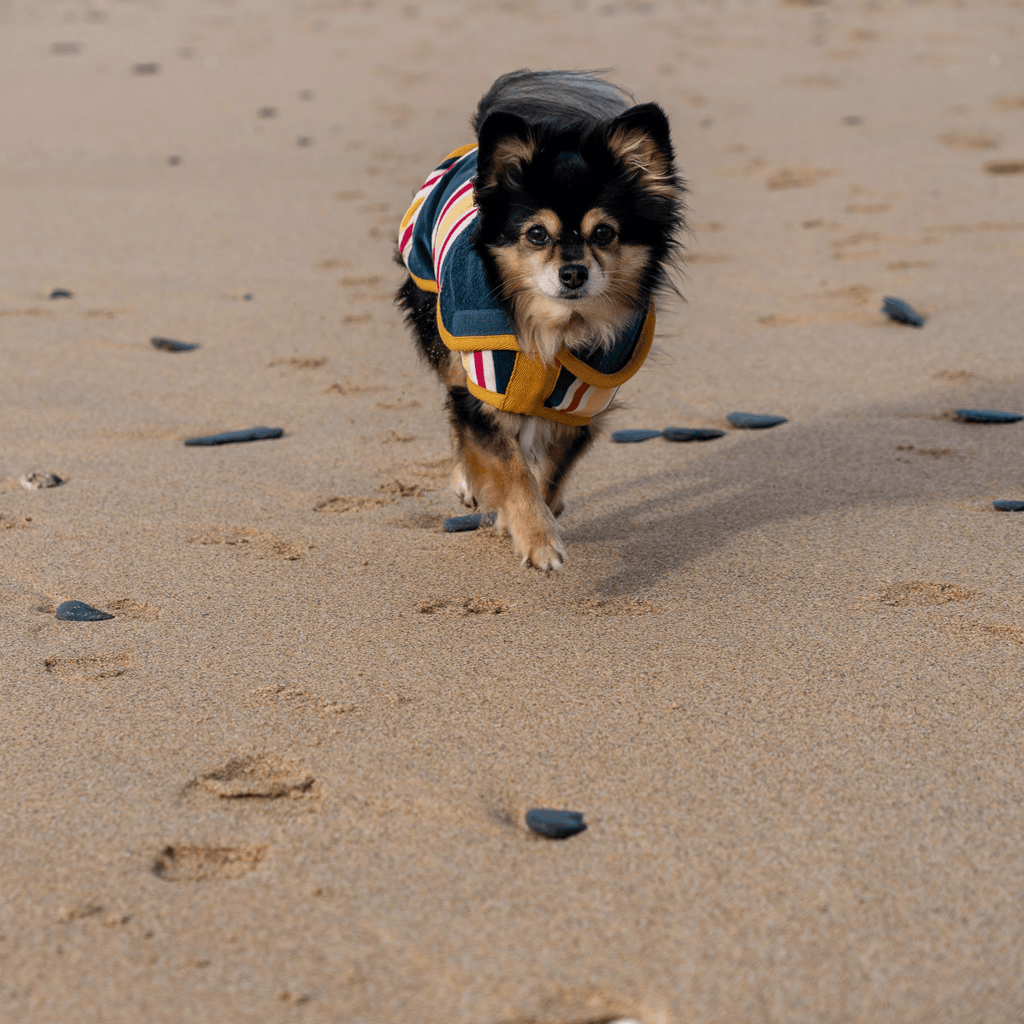 Dog Drying Coat - Design Collection - Slickers ◊ Doghouse