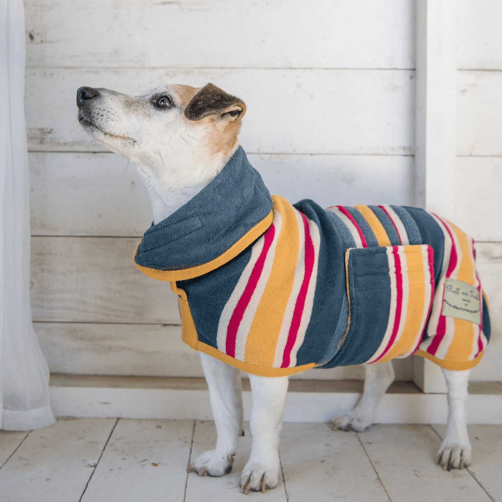 Dog Drying Coat - Design Collection - Slickers ◊ Doghouse
