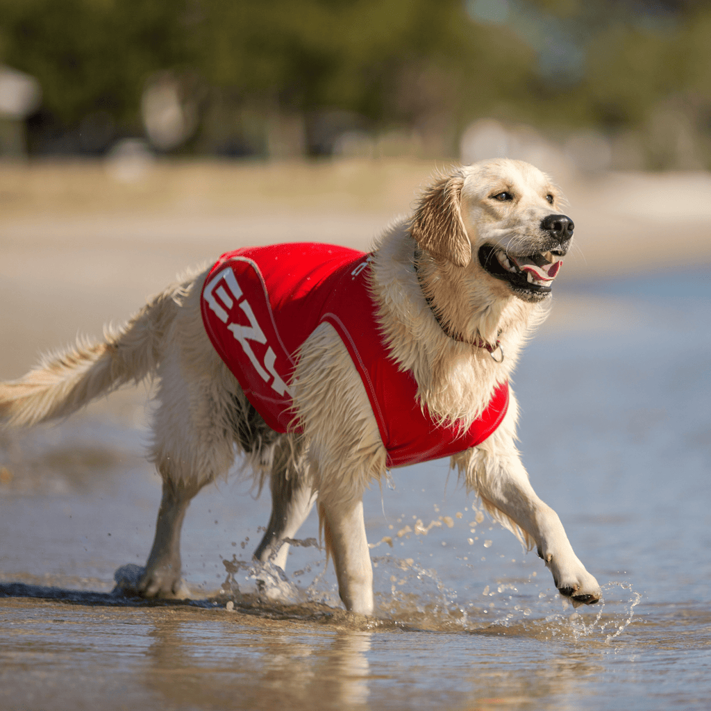 Dog Rash Vest - Slickers ◊ Doghouse