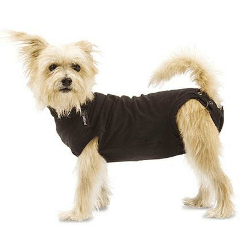 Dog Recovery Suit - Slickers ◊ Doghouse