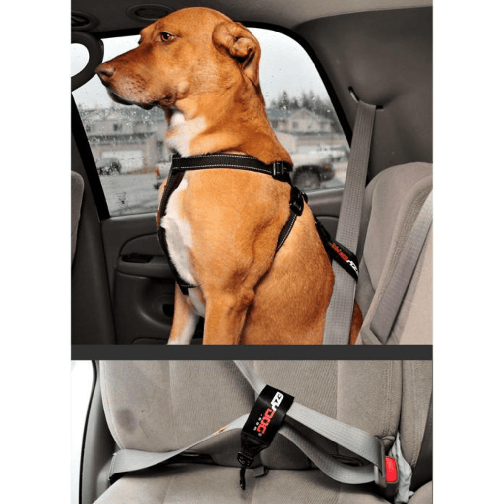 Dog Seat Belt Restraint Loop style - Slickers ◊ Doghouse