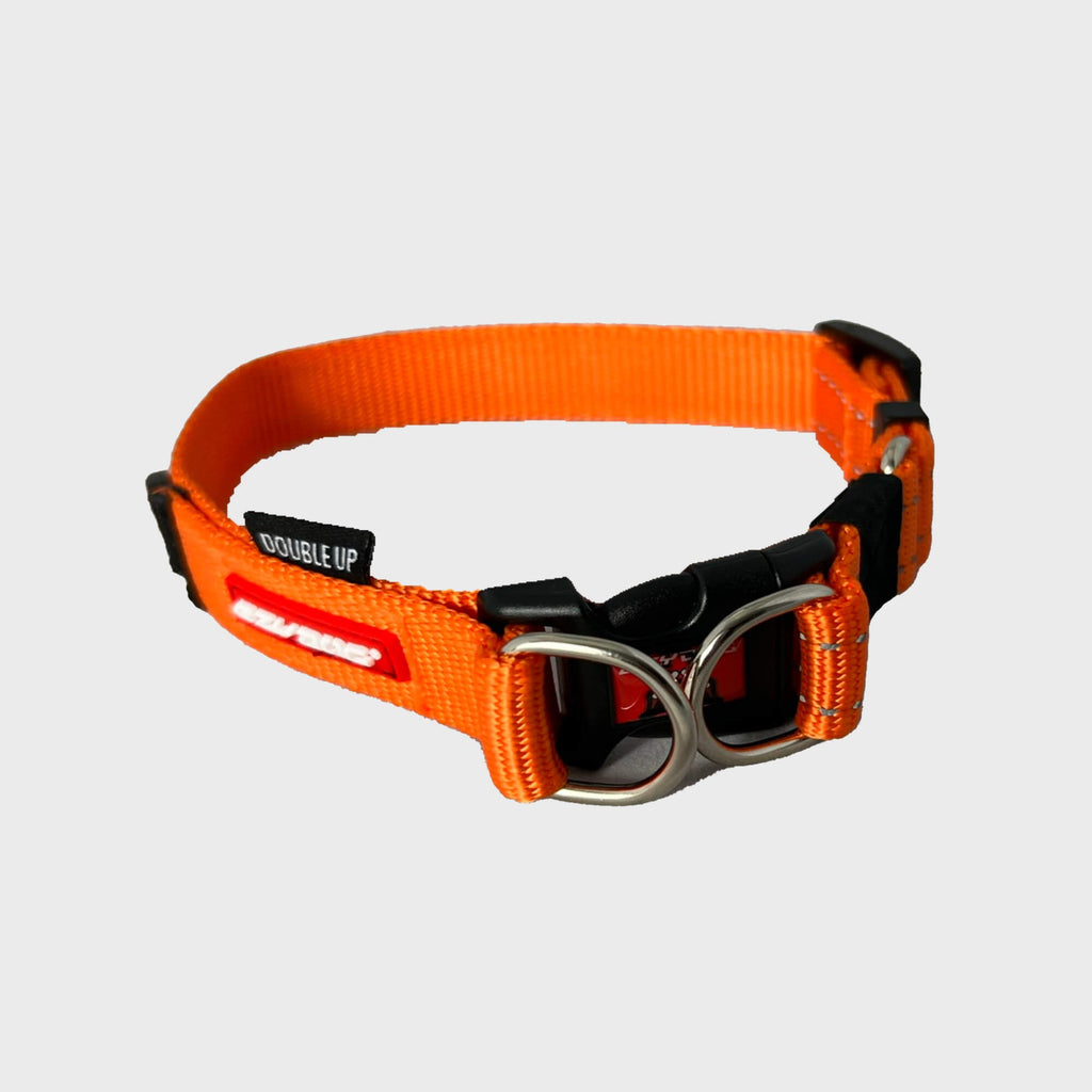Double Up Collar - Slickers ◊ Doghouse