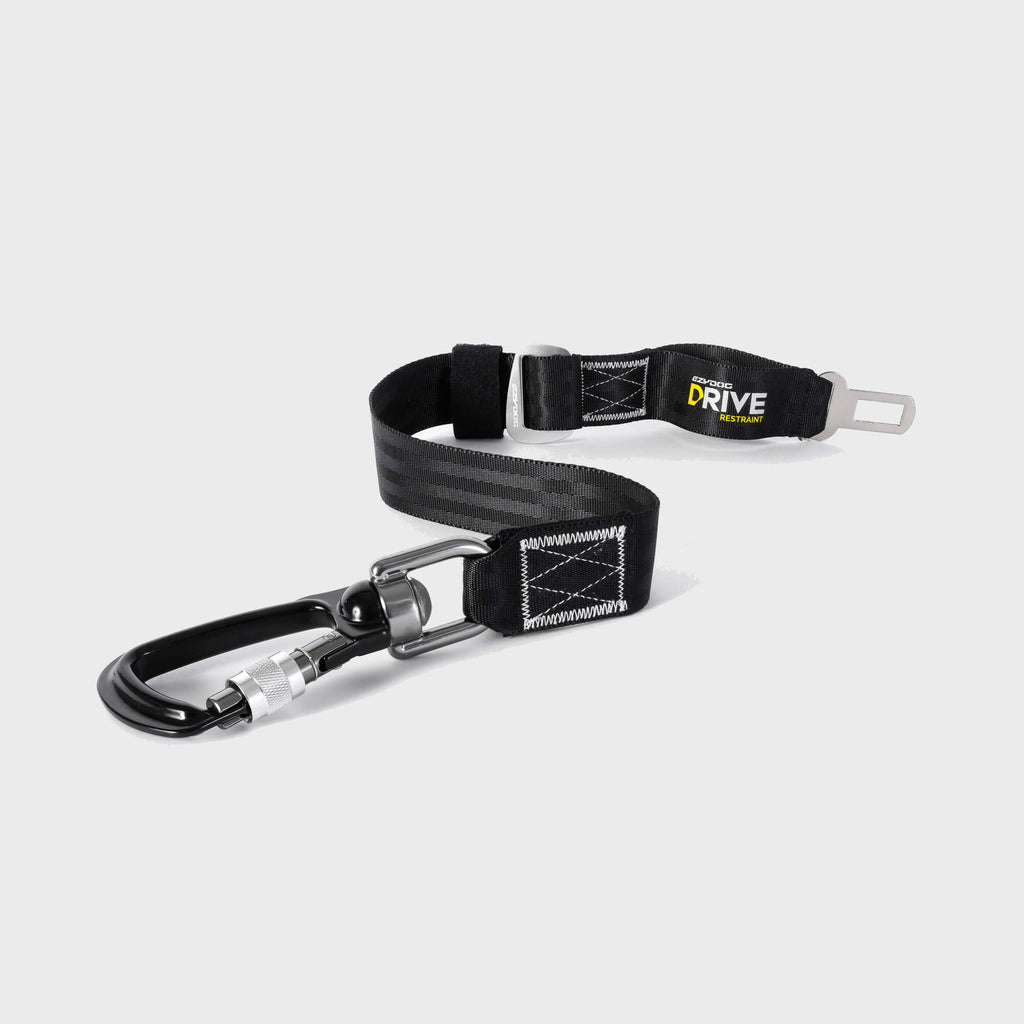 Drive Click Car Attachment - Slickers ◊ Doghouse