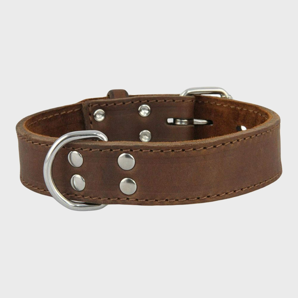 Ox Leather Collars - Slickers ‚óä Doghouse