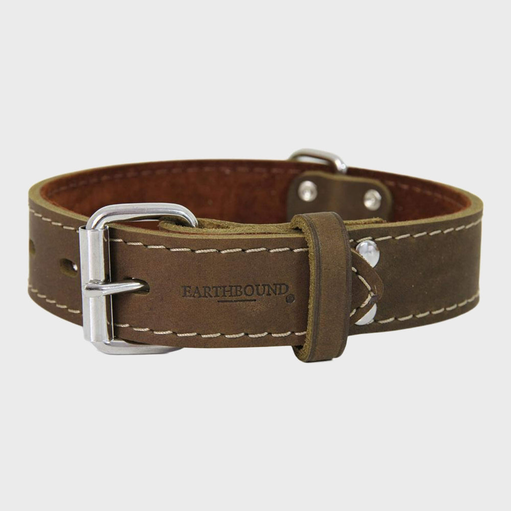 Ox Leather Collars - Slickers ‚óä Doghouse