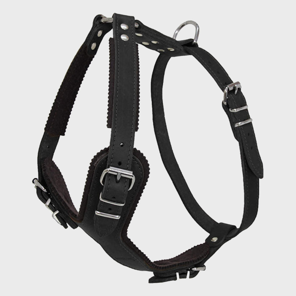 Earthbound Dog Harness Medium / Black / Leather Ox Leather Harness