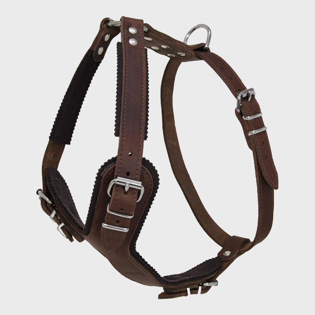 Earthbound Dog Harness Medium / Brown / Leather Ox Leather Harness
