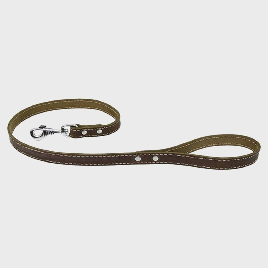 Ox Leather Lead - Slickers ‚óä Doghouse