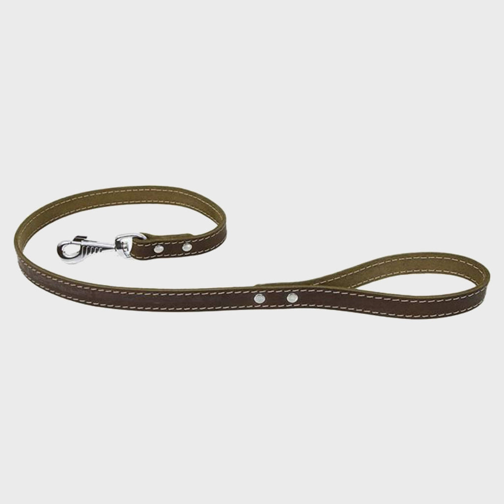 Earthbound Lead Green Ox Leather Lead