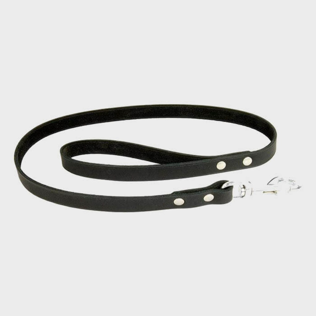 Soft Country Leather Lead - Slickers ‚óä Doghouse