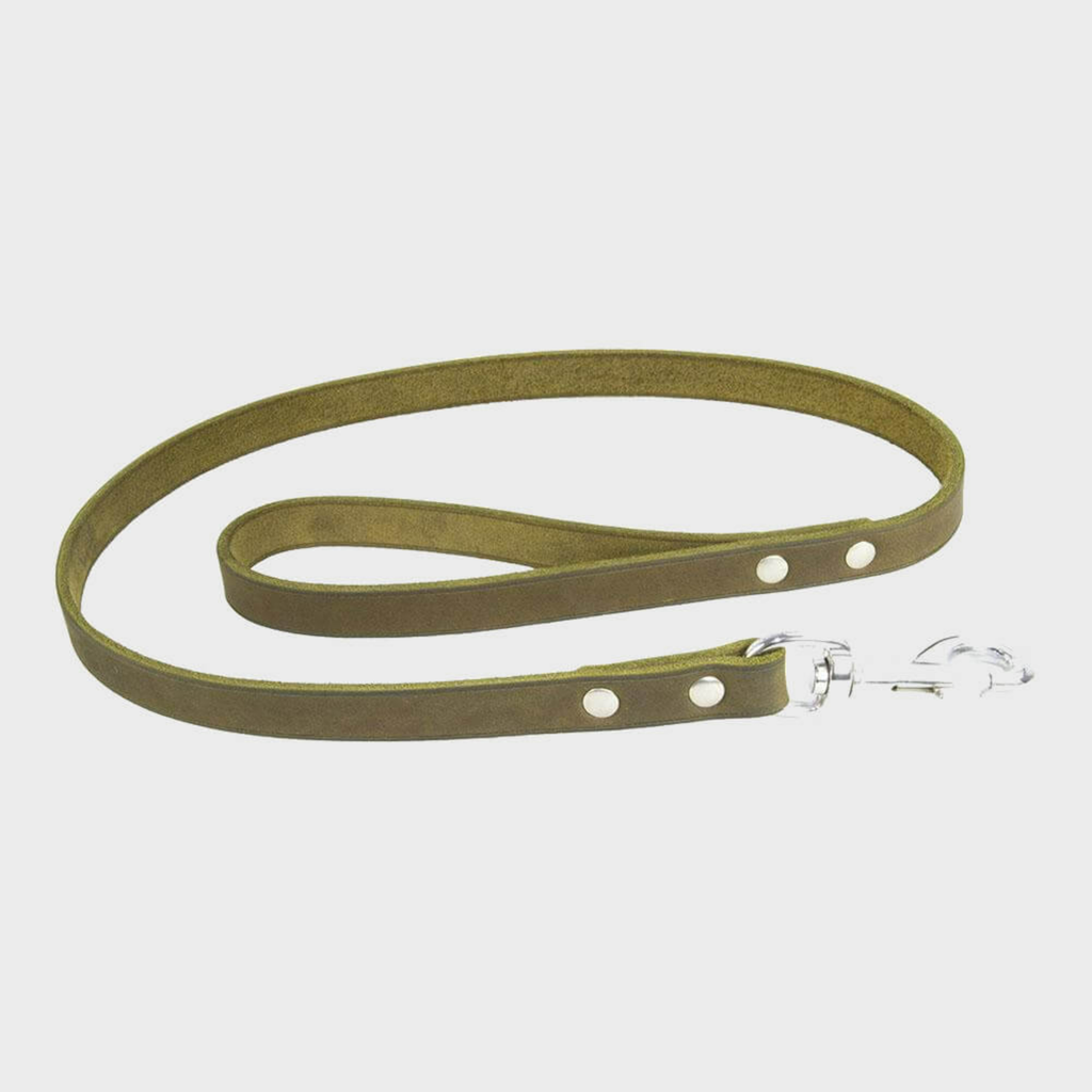 Earthbound Lead Medium / Green Soft Country Leather Lead