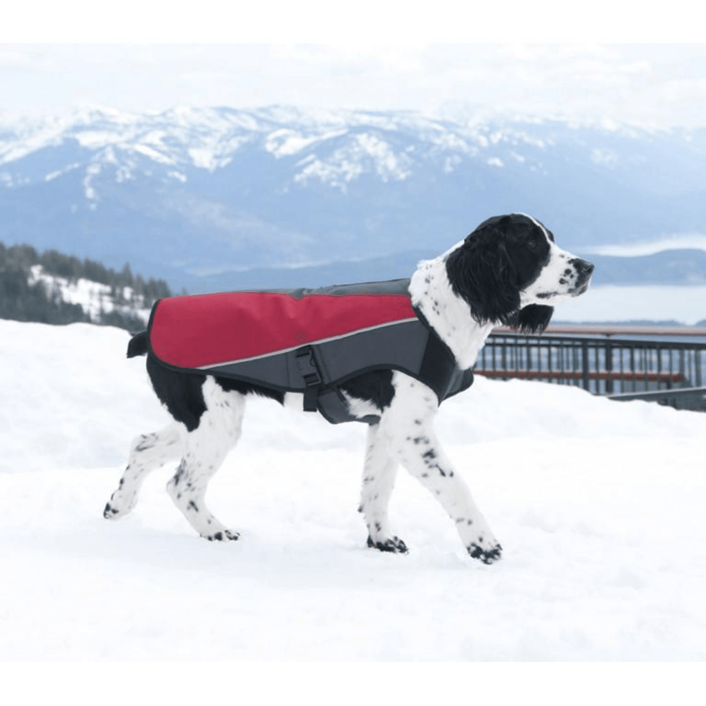 Element Dog Jacket - Slickers ◊ Doghouse