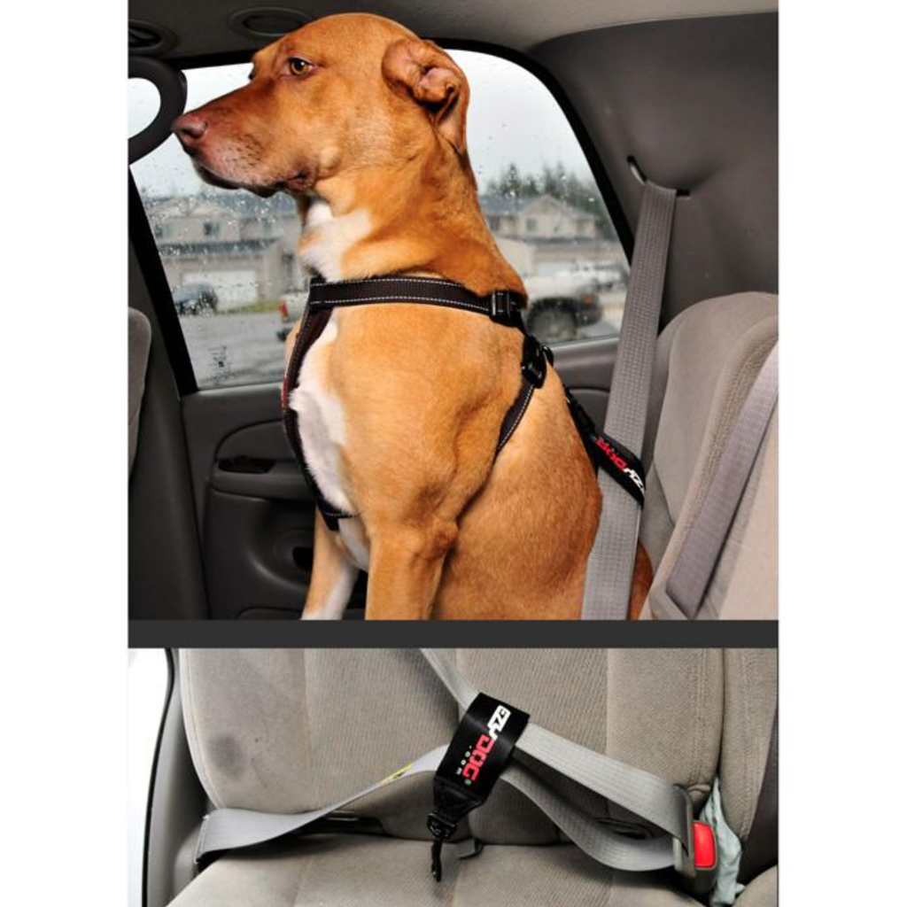 Dog Seat Belt Restraint Loop style - Slickers ‚óä Doghouse