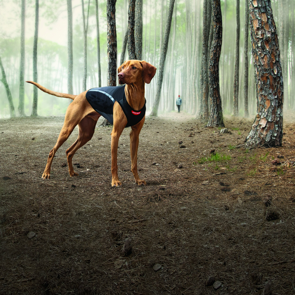 Thermax Thermogenic Vest - Slickers ‚óä Doghouse