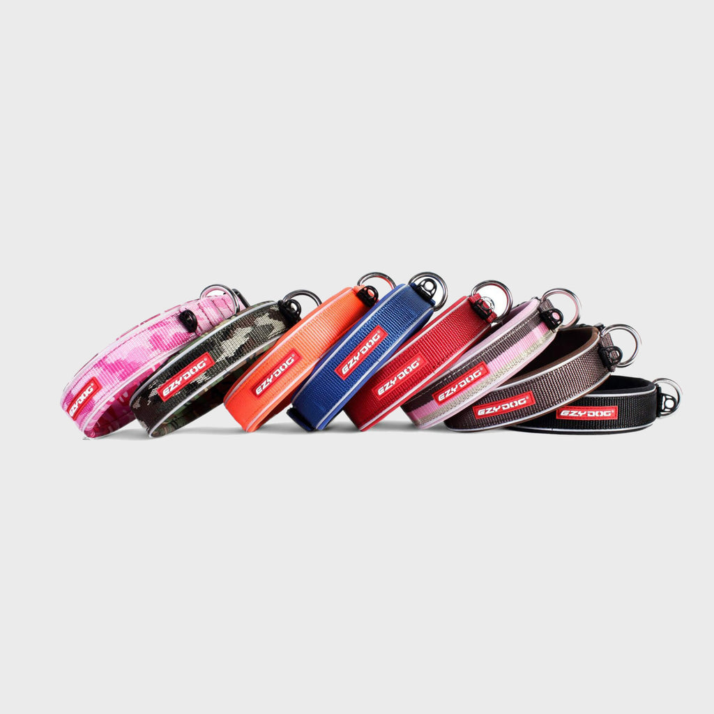 Neo Classic Dog Collar - Slickers ‚óä Doghouse