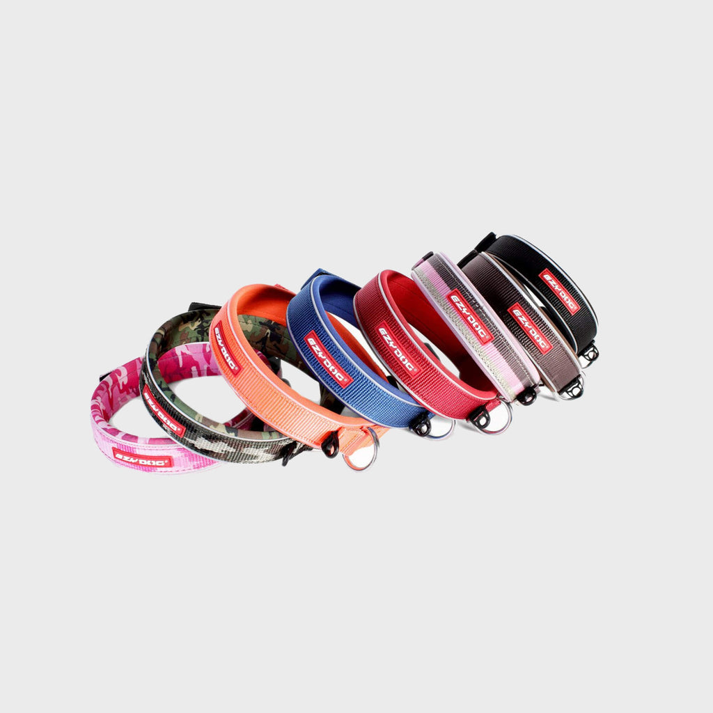 Neo Classic Dog Collar - Slickers ‚óä Doghouse