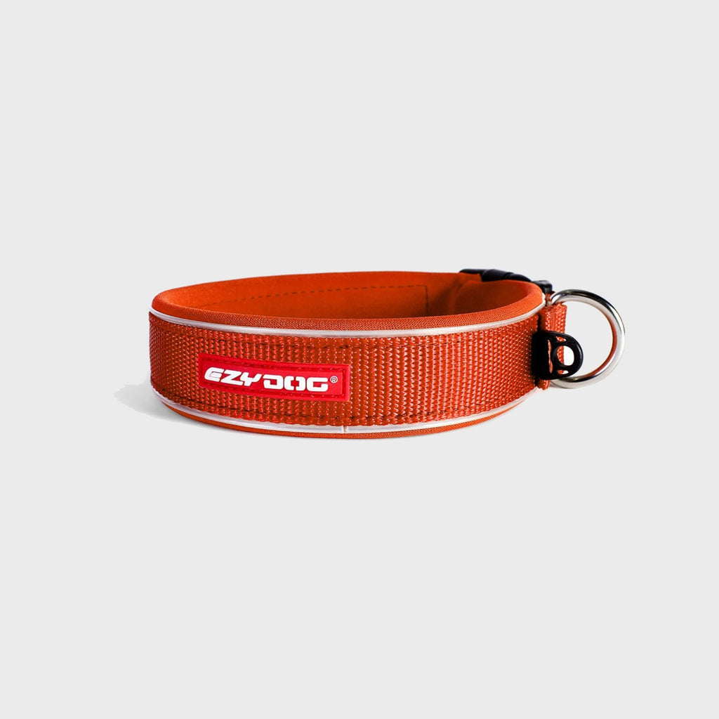 Neo Classic Dog Collar - Slickers ‚óä Doghouse