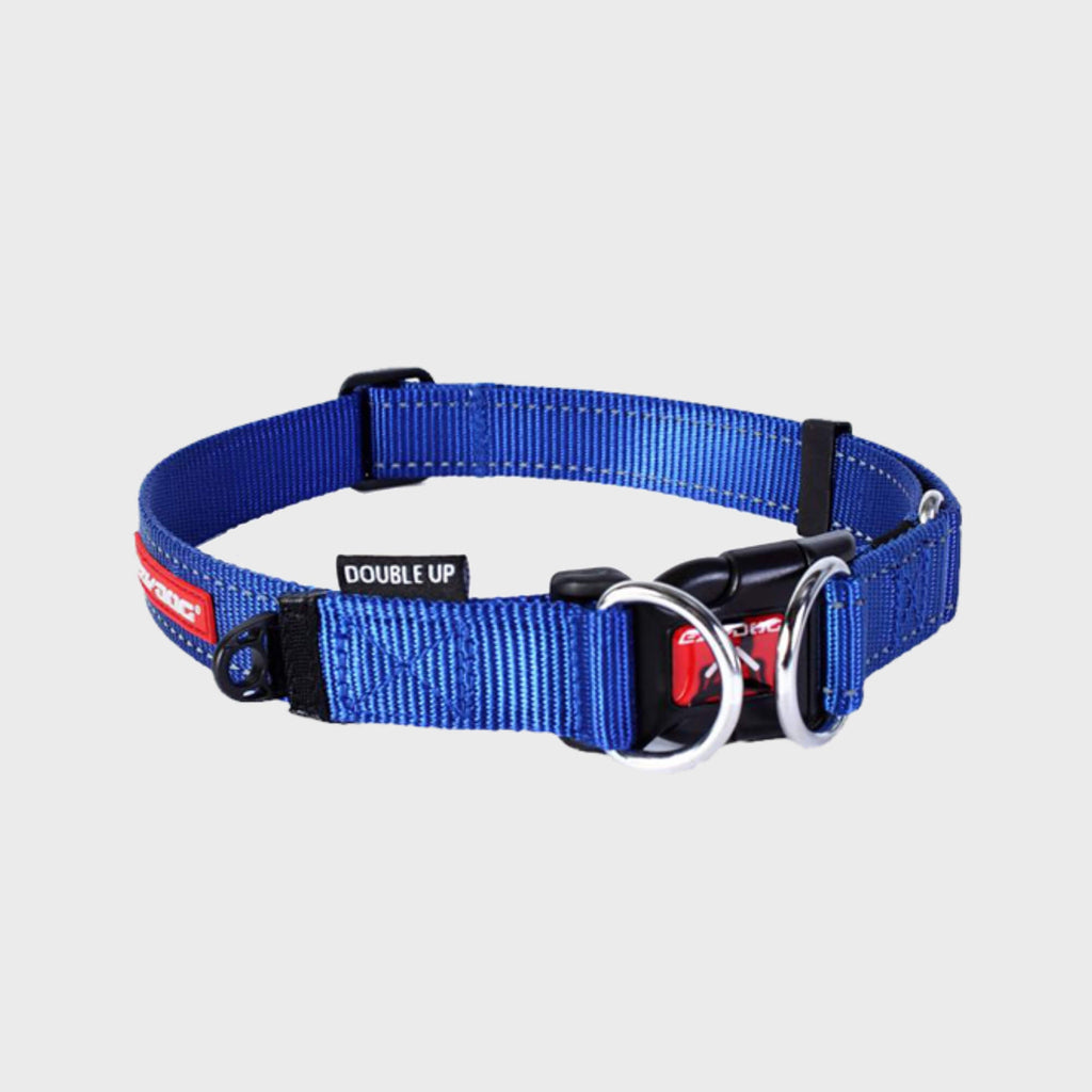 EzyDog Collar Small / Blue Double Up Collar