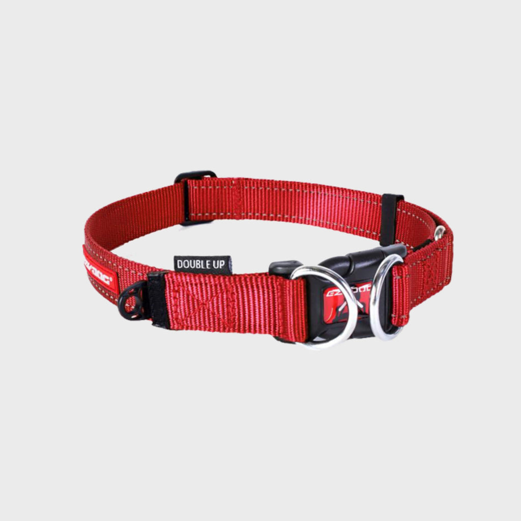EzyDog Collar Small / Red Double Up Collar