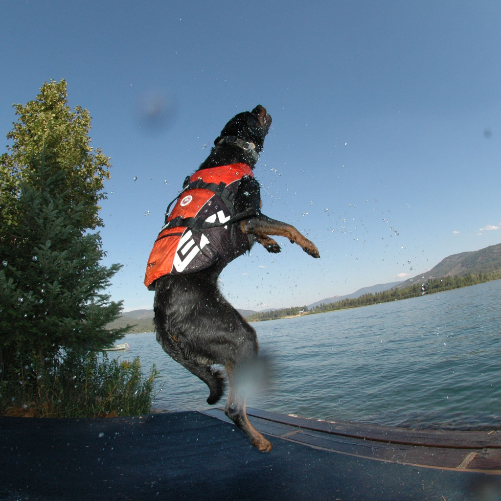 EzyDog Doggy Wear Dog Flotation Device