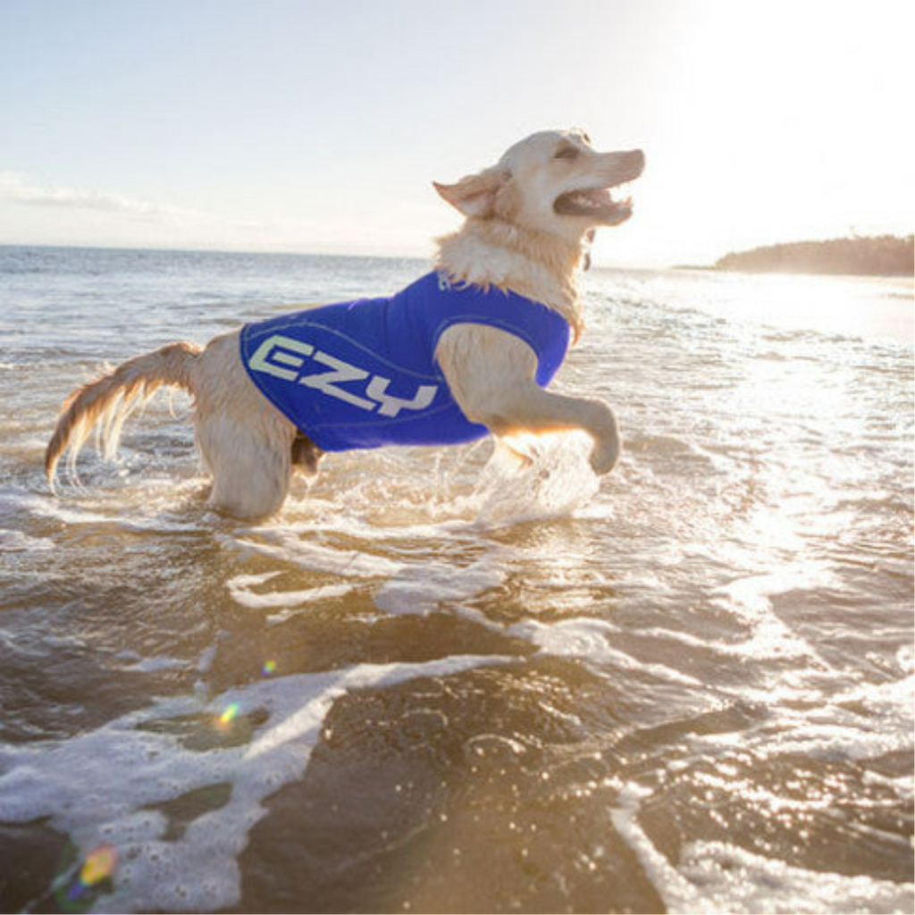 EzyDog Doggy Wear Dog Rash Vest