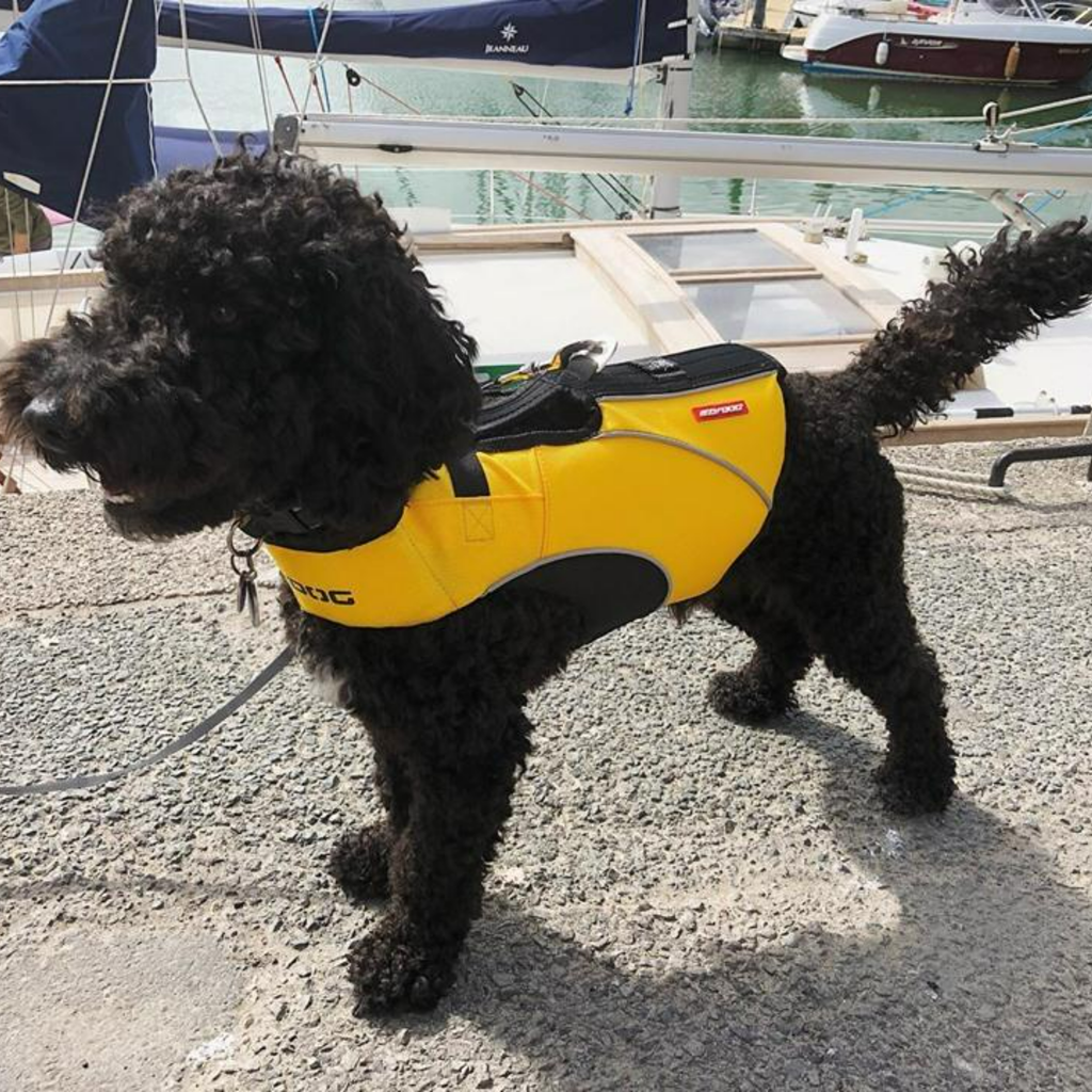 EzyDog Doggy Wear X2 Boost Dog Flotation Device