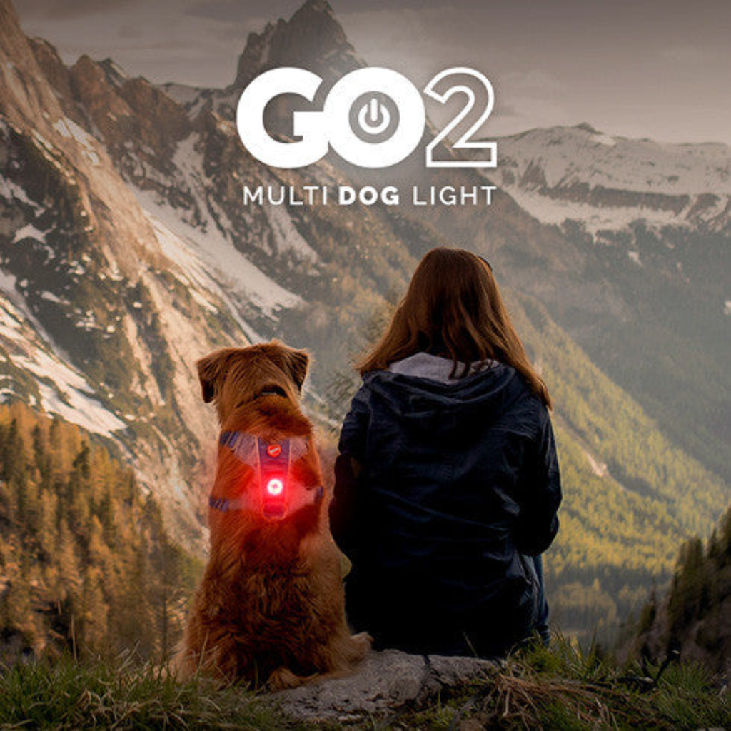 GO2 Light - Slickers ‚óä Doghouse