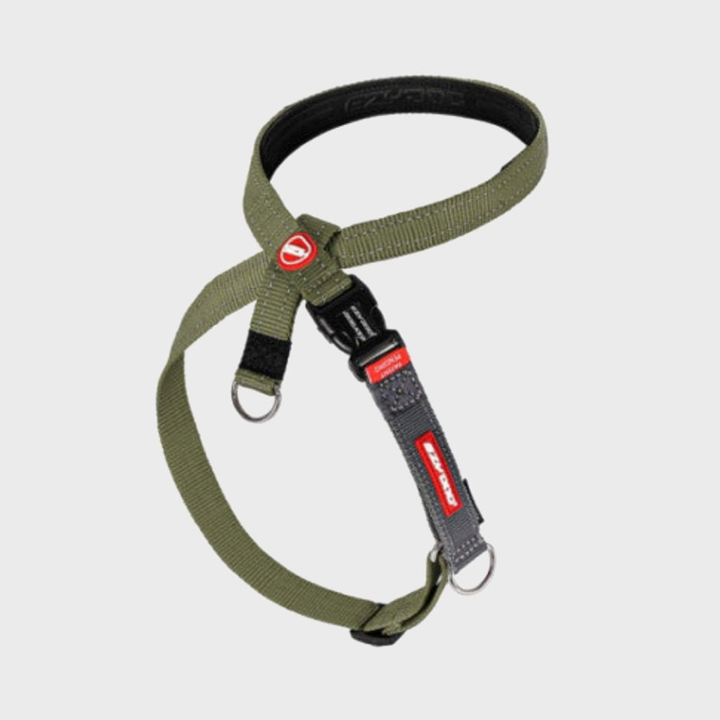 EzyDog Harness Cross Check Training Harness