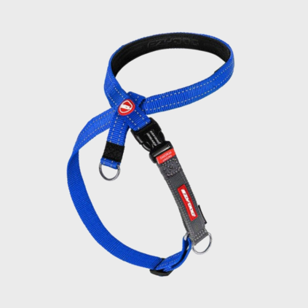 Cross Check Training Harness - Slickers ‚óä Doghouse